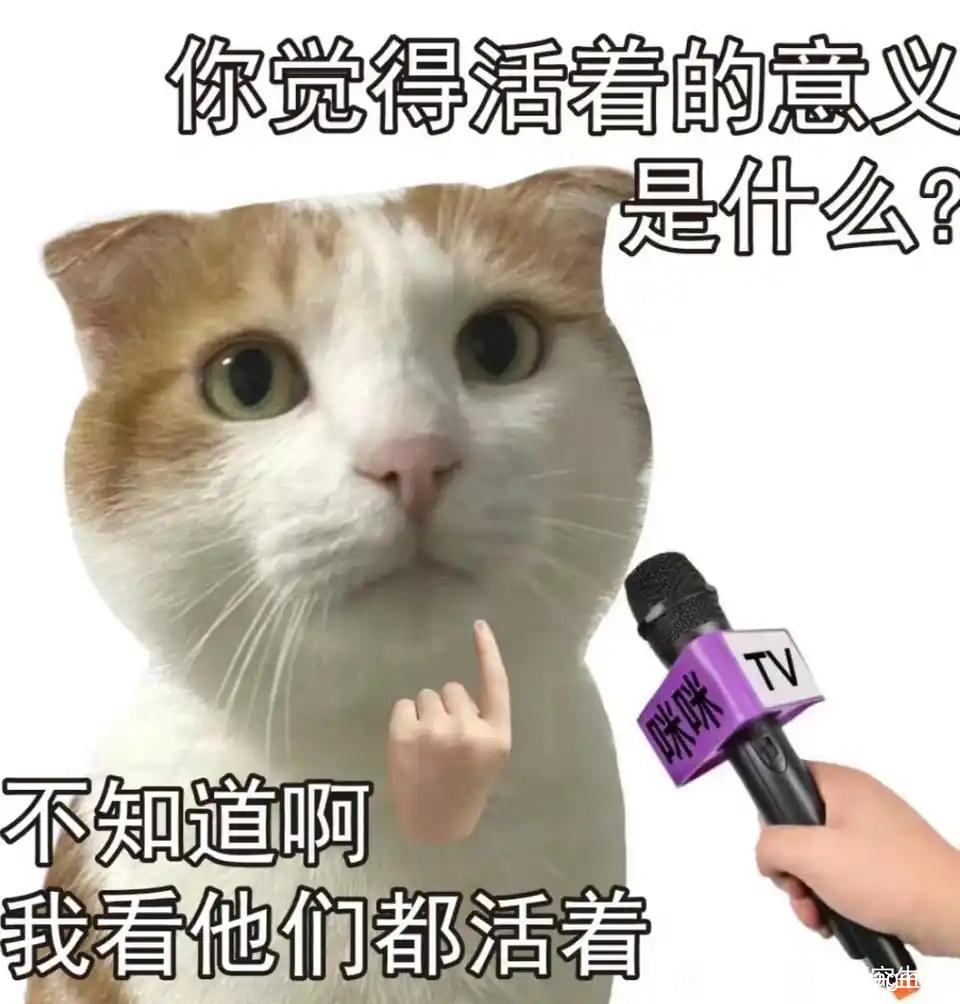 点击下方按钮获取二维码
